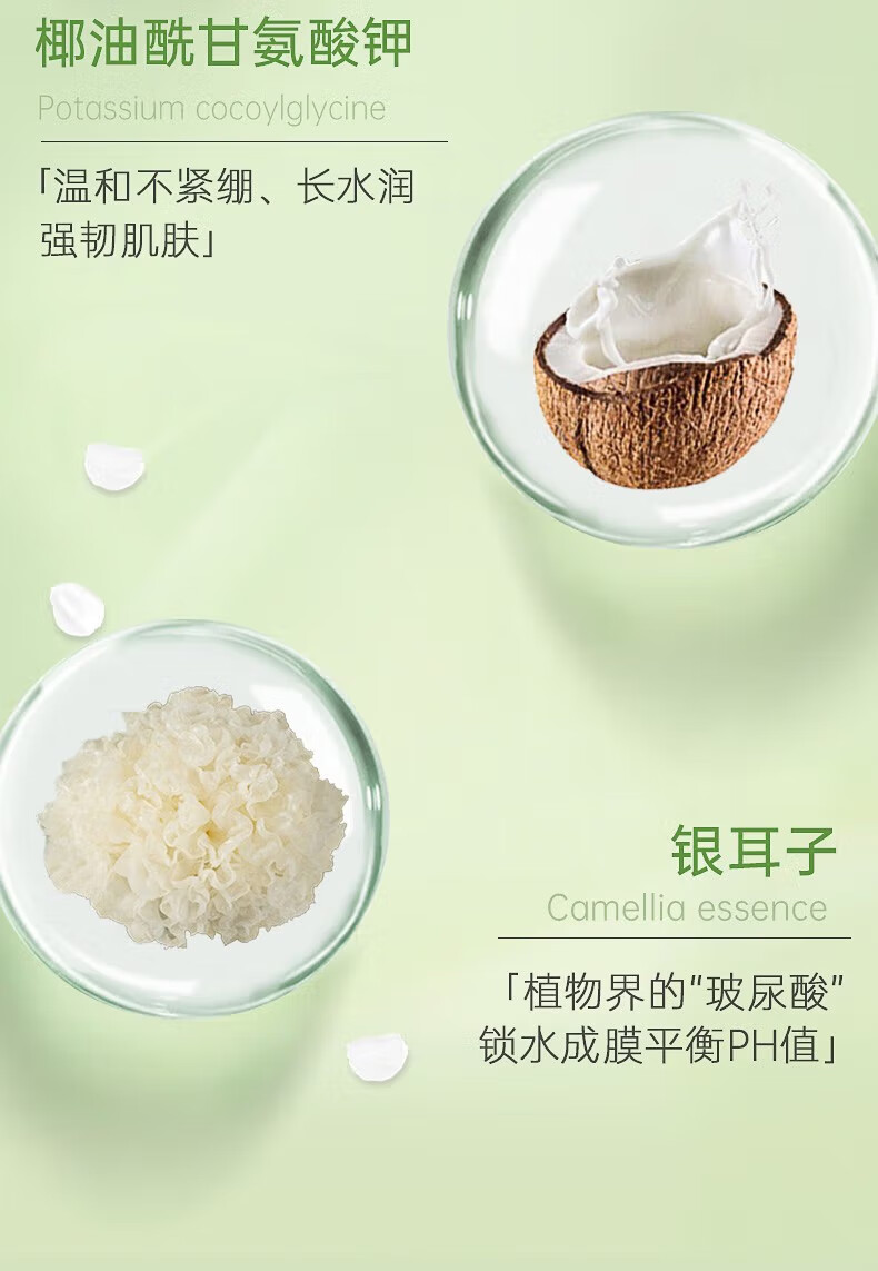 AOEO洗面奶山茶花洁面乳氨基酸男女温和不紧绷敏感肌控油保湿清洁卸妆 洗面奶100g