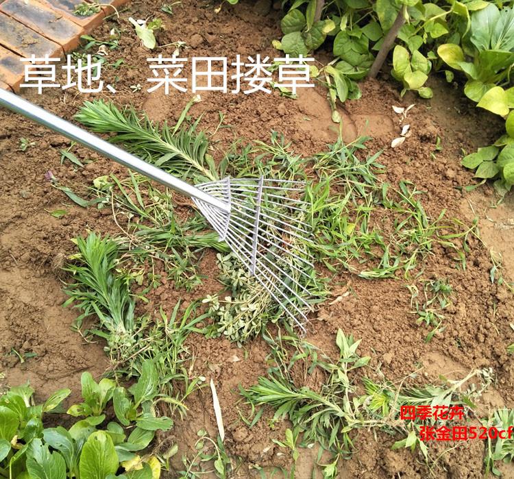 珂玮 园艺园林工具农具草种播种专用耙子搂草筢子水草铁杷猪八戒耙子