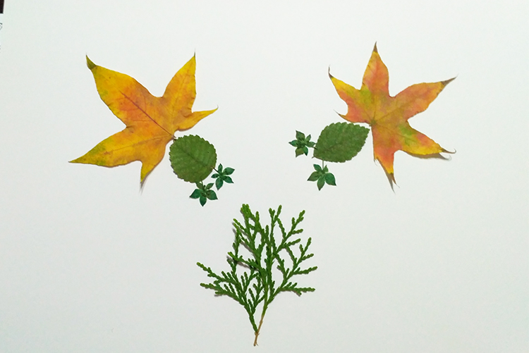 叶画树叶粘贴画植物标本金鱼蝴蝶真叶子作画幼儿园学生手工塑封膜图片
