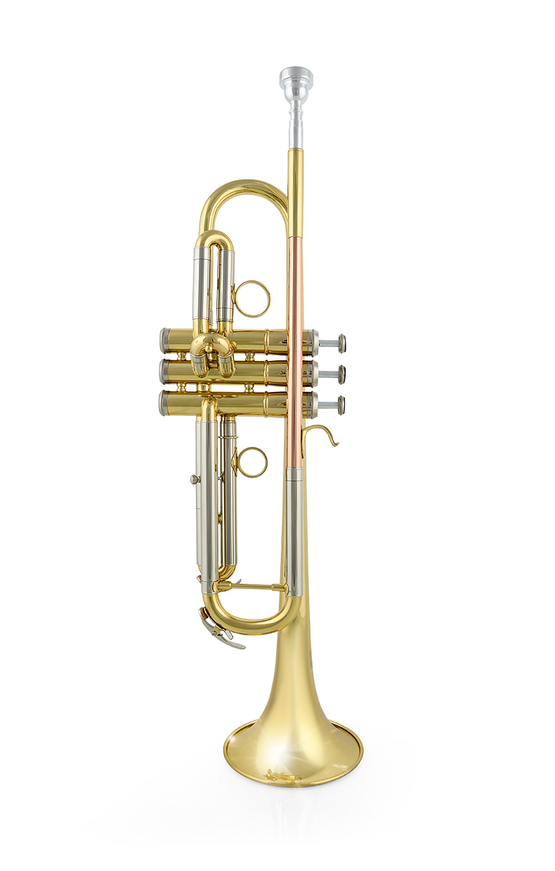 h60磷铜吹嘴管 黄铜管体小号 西洋管乐器乐团小号