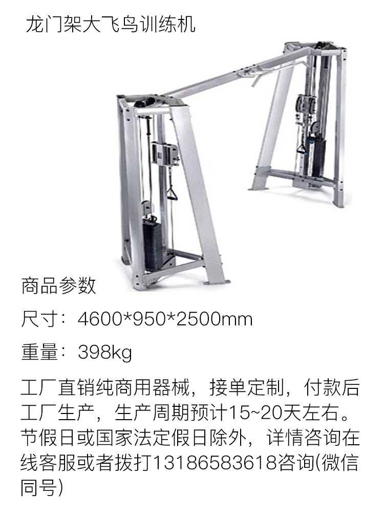 rising锐思 健身房纯商用健身器材 大飞鸟龙门架