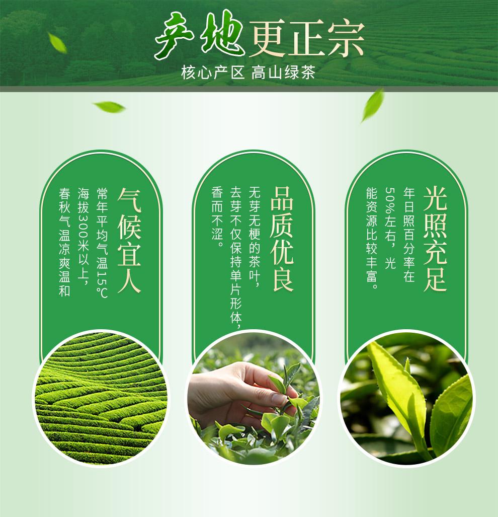 徽六 茶叶 绿茶 2018新茶上市 六安瓜片 六合佳礼春茶礼盒装 300g