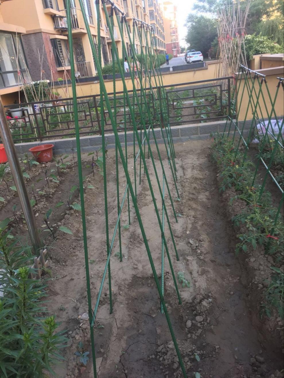 园艺用品波纹包塑钢管爬藤黄瓜豆角月季植物藤蔓架子花支柱支架 粗11