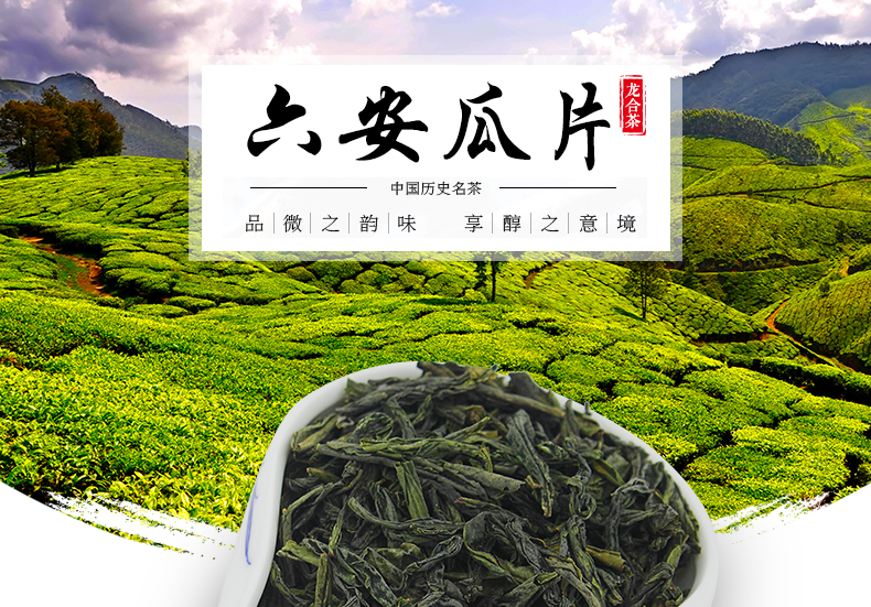 徐健2018新茶春茶安徽原产一级六安瓜片绿茶50g袋装国礼茶叶包邮_ 5折