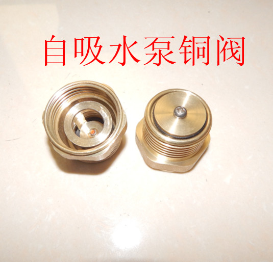 家用自吸泵管道增压泵 喷射泵铜阀门单向止回阀水泵配件叶子 1寸铜