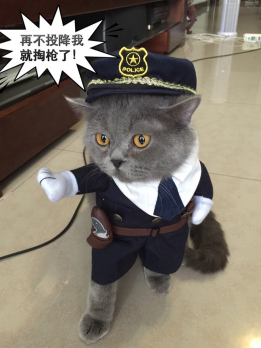 嗨派特 狗狗衣服警察变身装套装猫咪衣服圣诞节万圣节