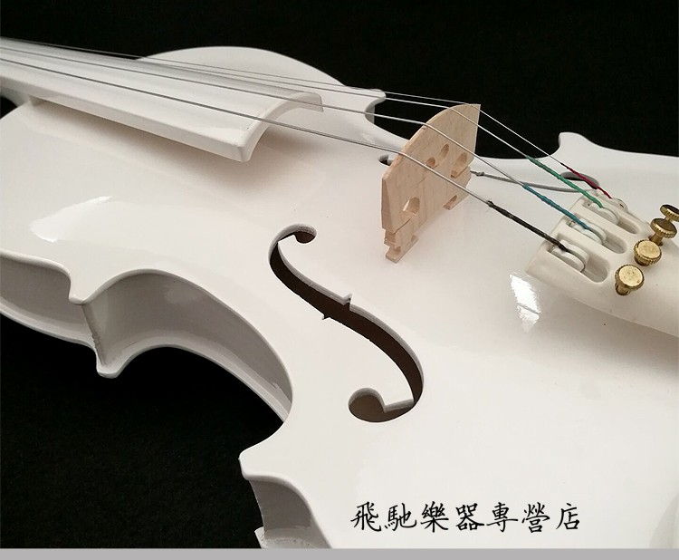 琴兹(qin ci) 乐器 初学者儿童小提琴 成人小提琴 配送全套 1/2黑白