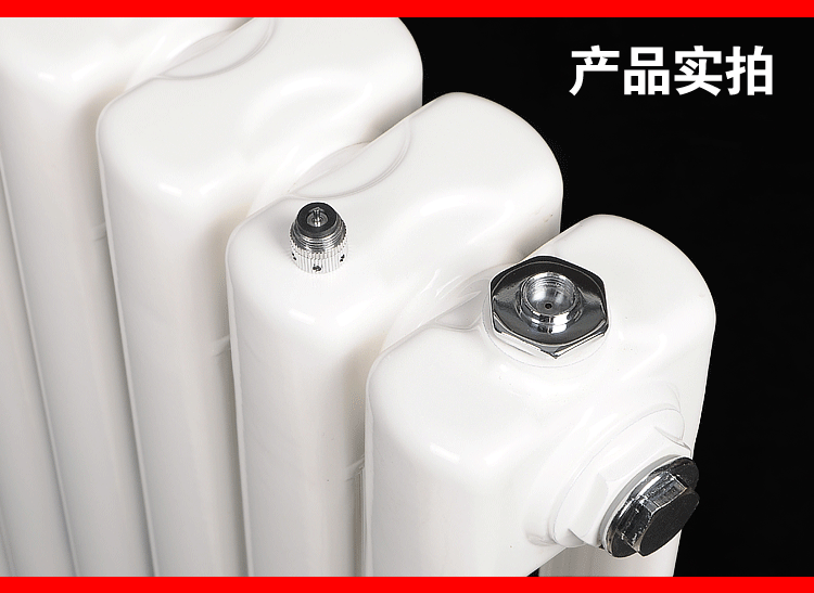 暖气片跑风 圣暖思特加水电暖气片取暖器全自动放气阀排气阀纯铜阀门