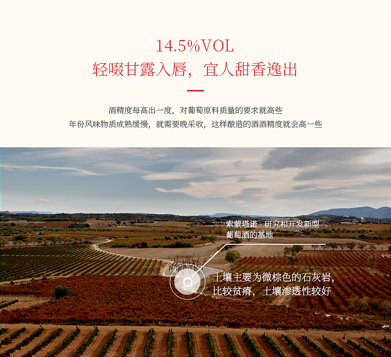 进口红酒单支带礼盒 西班牙干红葡萄酒 科塔8