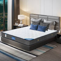 宜眠坊（ESF）床垫 席梦思弹簧床垫 软硬适中 J01 1.2*1.9*0.2米床垫