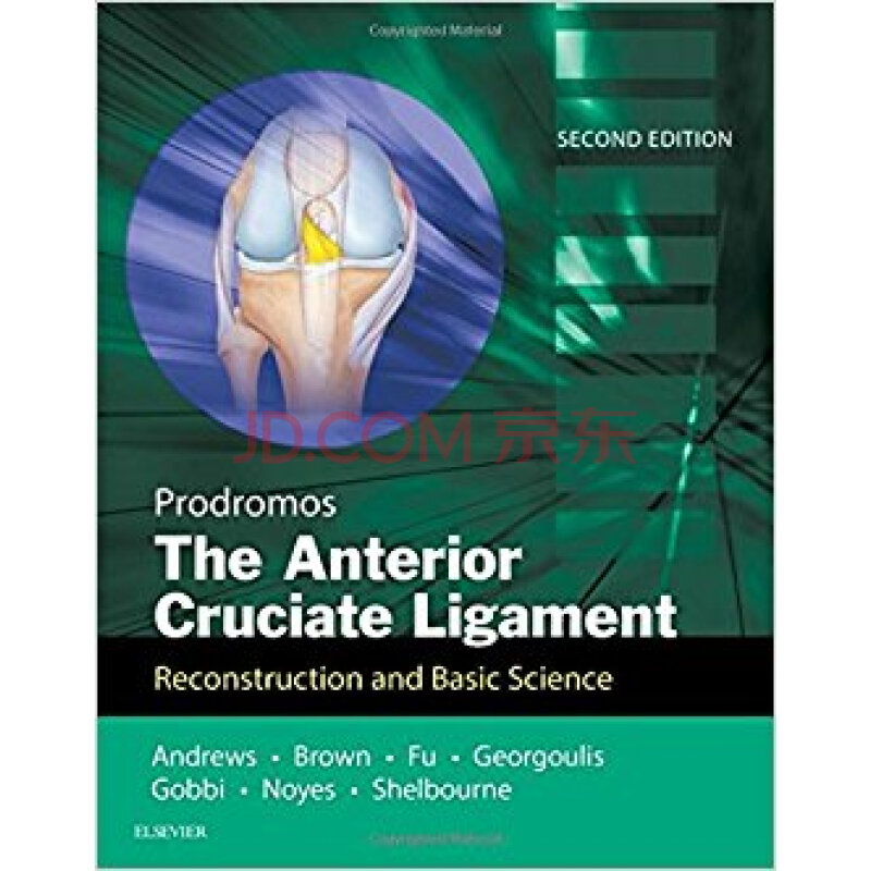the anterior cruciate ligament