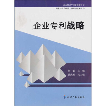 企业专利战略