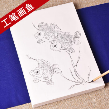 初学者美术基础教程临摹练习创作鲤鱼金鱼宣纸水彩国画上色 大幅,白描