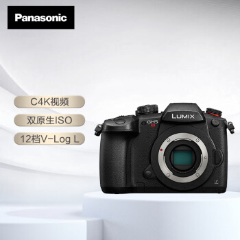 松下（Panasonic）GH5S微单相机 数码相机 vlog相机 专业视频微单C4K 60P 双原生ISO V-LogL预装 