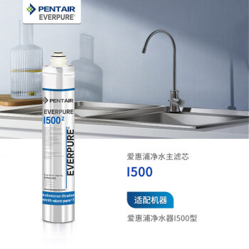 爱惠浦（Everpure）I500（2）净水器 净水机 厨房餐饮用水过滤器滤芯