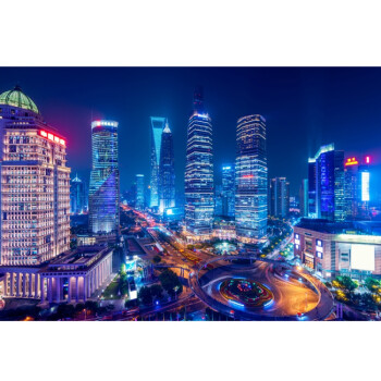 上海夜景繁华城市东方明珠海报外滩陆家嘴城市建筑风景画装饰贴画 b