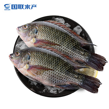 guo lian国联 三去罗非鱼 净重700g 2条 去鳞去鳃去内脏 bap四星认证