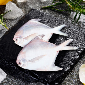三都港 冷冻东海银鲳鱼450g 平鱼 深海鱼 生鲜 鱼类 海鲜水产 烧烤食材