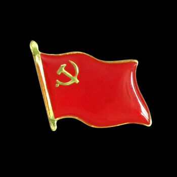 斯图(sitoo)斯图共产党员党徽胸章磁扣别针 100个装旗形无字党徽磁