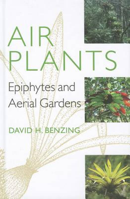 【预订】air plants: epiphytes and aerial