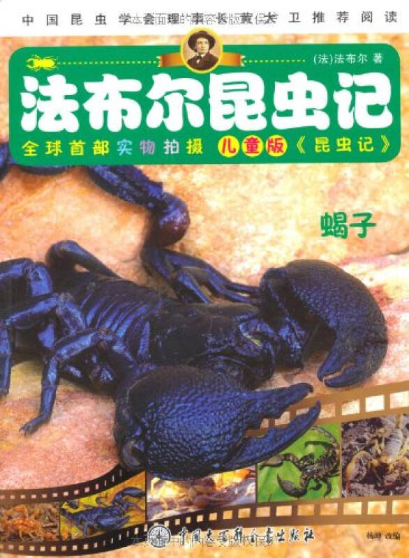 蝎子-法布尔昆虫记/法布尔
