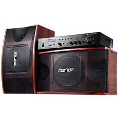 先科卡拉OK套装音箱 10英寸KTV音响家用K歌