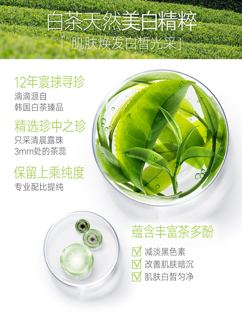 韩后（Hanhoo） 韩后茶蕊嫩白套装 补水保湿淡化斑点去黄提亮肤色水乳护肤品礼盒 新茶蕊嫩白七件套礼盒