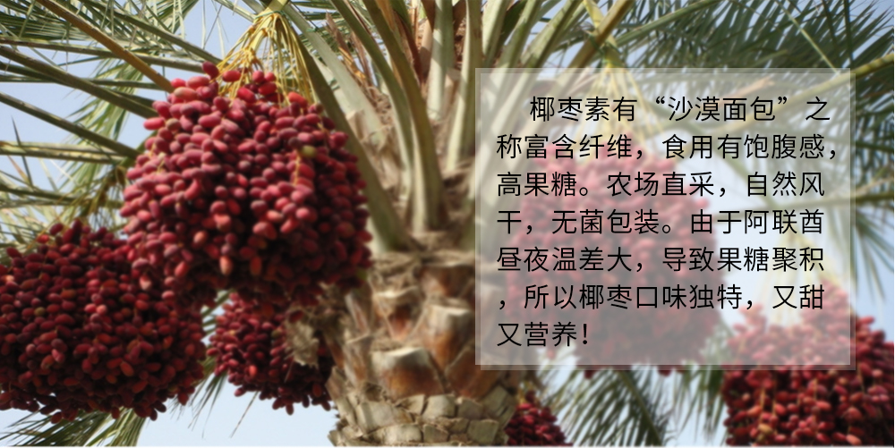 阿联酋进口date crown皇冠椰枣fard黑椰枣迪拜旅礼品多款可选年货送礼