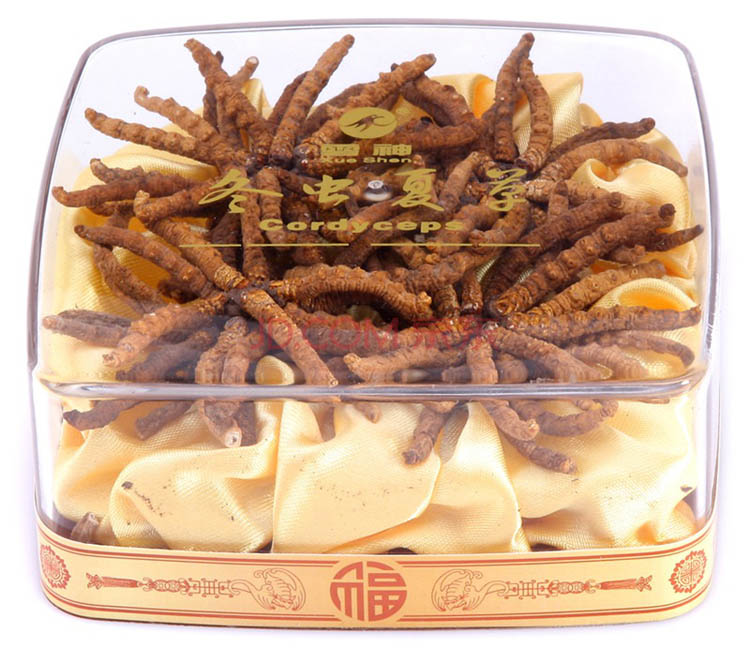 雪神牌冬虫夏草(水晶扎花)精选20g在京东商城