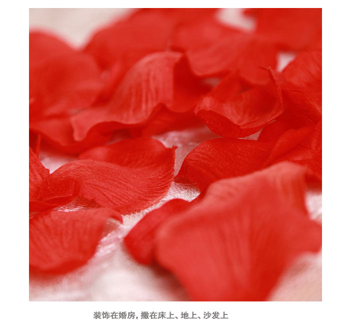 
                                        
                                                            青苇 玫瑰花瓣 婚房布置装饰 结婚用品 情人节表白求婚 红色 720片装                