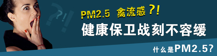 3M 儿童口罩 防雾霾口罩 防pm2.5 防护口罩 N95防尘口罩 8110S 20只(1盒)