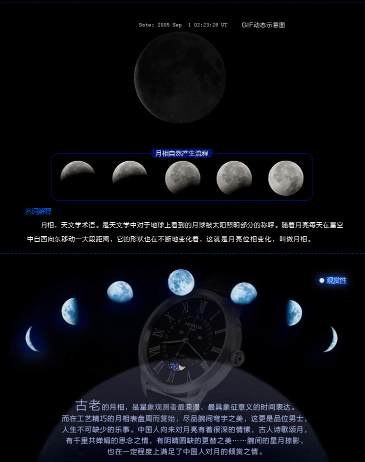 尼维达NIVADA 商务休闲罗马表盘真皮表带男士