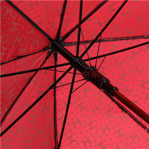 天堂 韩版Chicaloca春华绸 直杆晴雨伞CA1502 酱红色