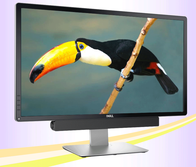戴尔（DELL） 专业级P2815Q 28英寸16:9宽屏 LED背光4K液晶显示器