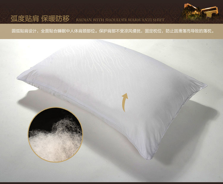 
                                        
                                        睡驰（AiSleep）枕芯 高回弹纤维枕芯 舒睡柔软枕芯 两只装                