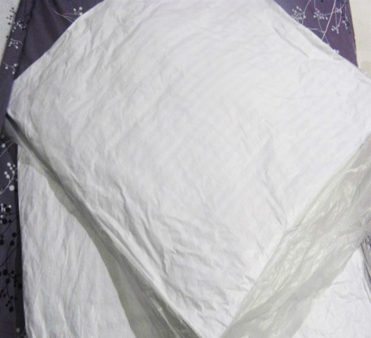 青苇 抱枕 靠垫芯 2个装 45*45cm 实用型