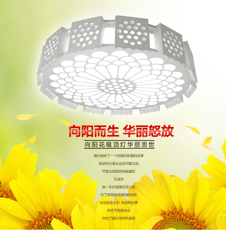 首度 吸顶灯 雕花仿羊皮客厅卧室书房灯 木塑板 向阳馨语 大号 DD0703 象牙白