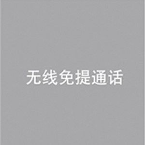 
                                        飞利浦 SHB1500 商务通话蓝牙耳机 通用型 入耳式 黑色                