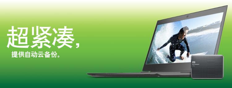 Съемный жесткий диск WD 100 Съемный жесткий диск WD 100
