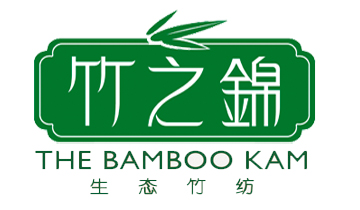 锦霞 毛巾被毯 高档南韩绒毯 柔软双层加厚 220*240cm 100%聚酯纤维 6910 绿色