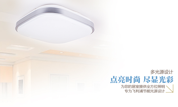 飞利浦（PHILIPS）吸顶灯 32W  含光源 卧室照明  飞悦30548