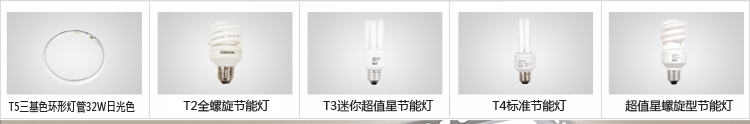 欧司朗（OSRAM） 环形灯管 T5 32W三基色日光色 6500K (2只装)