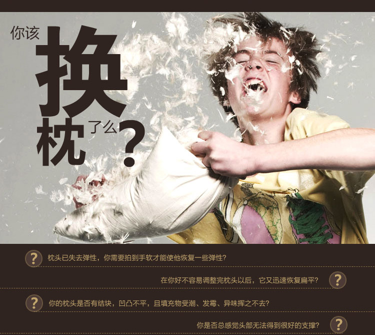 
                                        
                                        睡驰（AiSleep）枕芯 高回弹纤维枕芯 舒睡柔软枕芯 两只装                