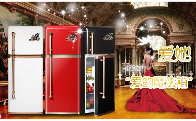 金松(JINSONG) BCD-118LH 118升双门冰箱 爱