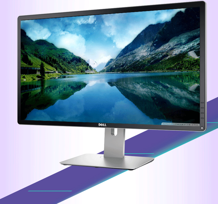 戴尔（DELL） 专业级P2815Q 28英寸16:9宽屏 LED背光4K液晶显示器