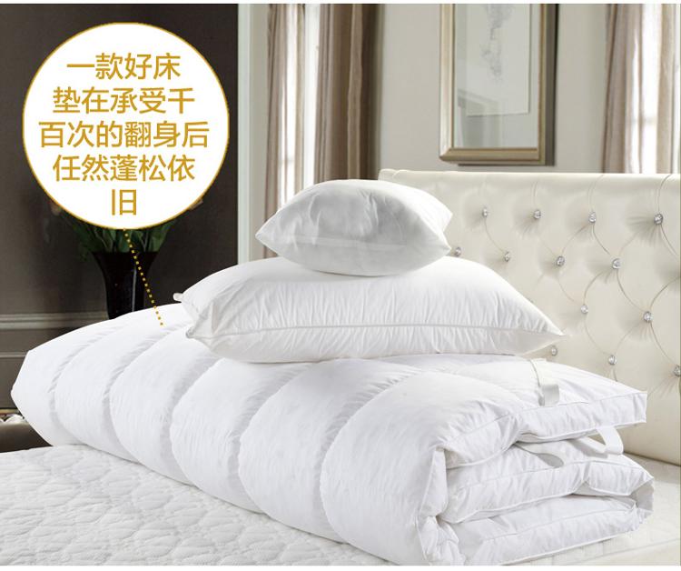 奈士迪NICED 床品家纺 100%白鹅毛羽绒全棉加厚立体双人加大秋冬床垫 180*200cm 白色 12.9斤重