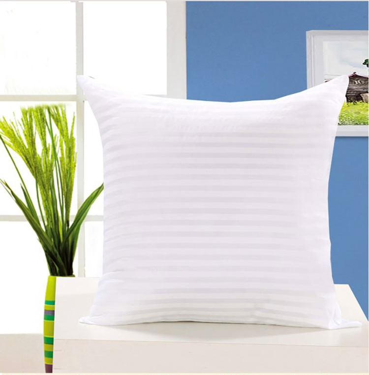 青苇 抱枕 靠垫芯 2个装 45*45cm 实用型