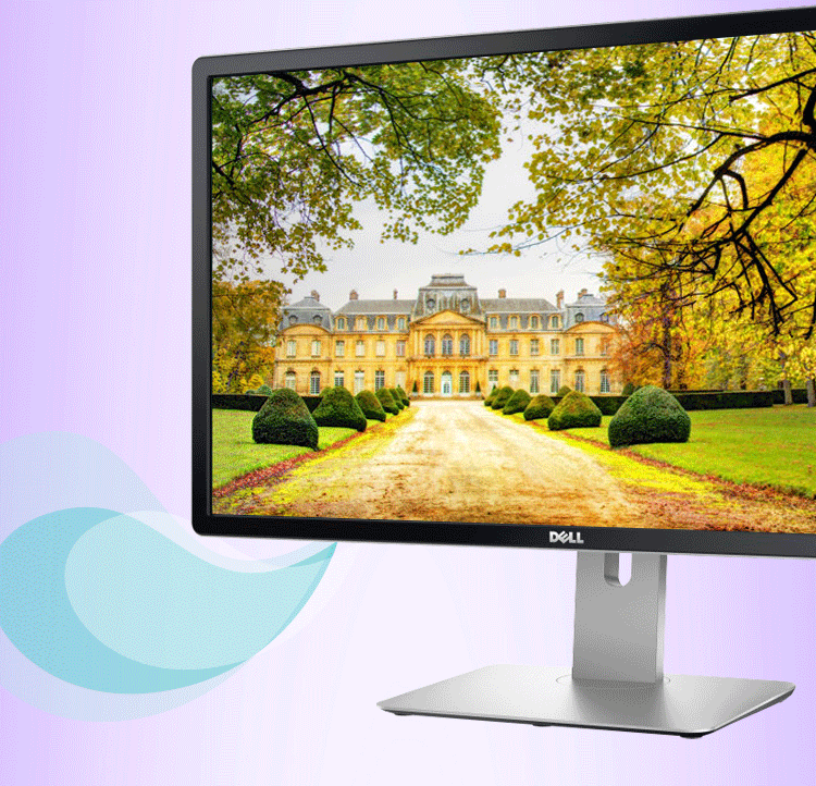 戴尔（DELL） 专业级P2815Q 28英寸16:9宽屏 LED背光4K液晶显示器