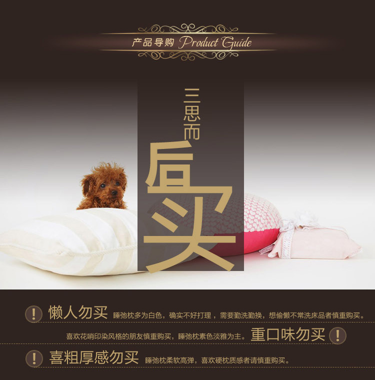 
                                        
                                        睡驰（AiSleep）枕芯 高回弹纤维枕芯 舒睡柔软枕芯 两只装                