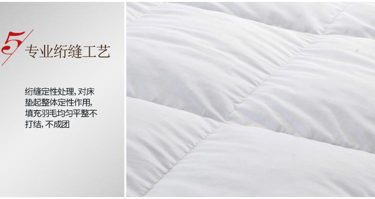 奈士迪NICED 床品家纺 100%白鹅毛羽绒全棉加厚立体双人加大秋冬床垫 180*200cm 白色 12.9斤重